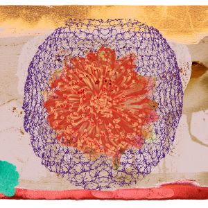 Medusa Sol #1 2026 60x75cm ©