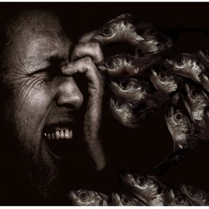 Interfear 2006 ©