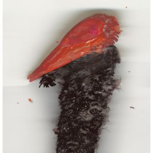 Fishbird 2009 ©  115 x 80 cm